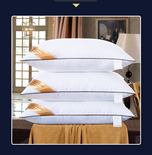 Star Hotel High Quality Down Silk Pillow