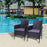 COMFY 2pcs Outdoor Chairs with Cushions